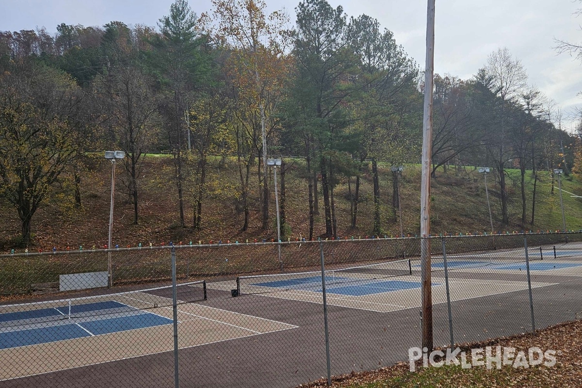 Photo of Pickleball at Archer Park